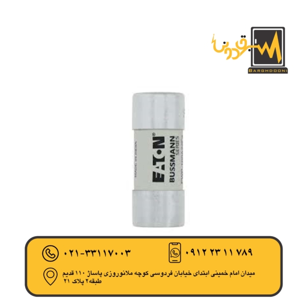 فیوز 22در58 باسمن 100 آمپر 690 ولت تندسوز FWP-100A22FA